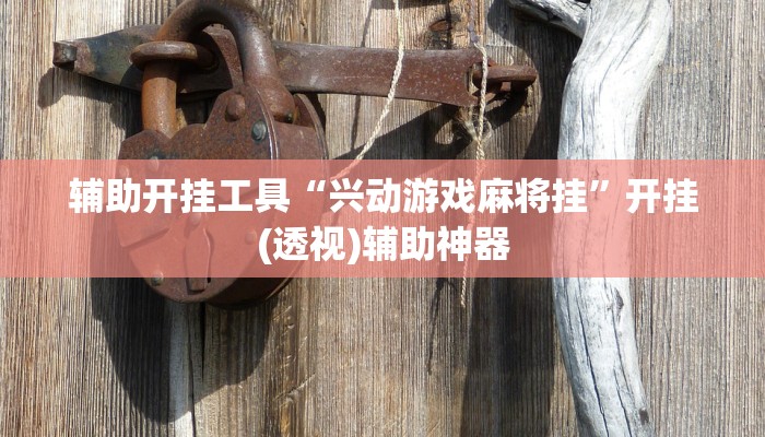 辅助开挂工具“兴动游戏麻将挂”开挂(透视)辅助神器