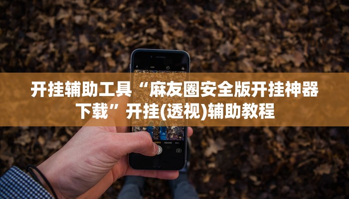 玩家必搜“和和麻将到底有挂吗”(详细开挂教程)