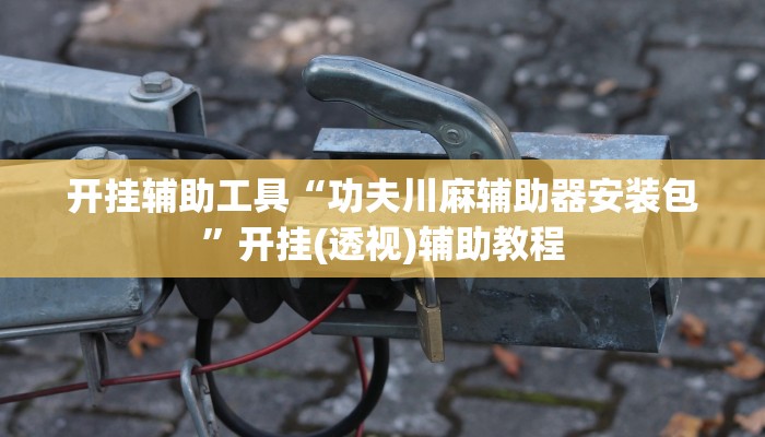 开挂辅助工具“功夫川麻辅助器安装包”开挂(透视)辅助教程