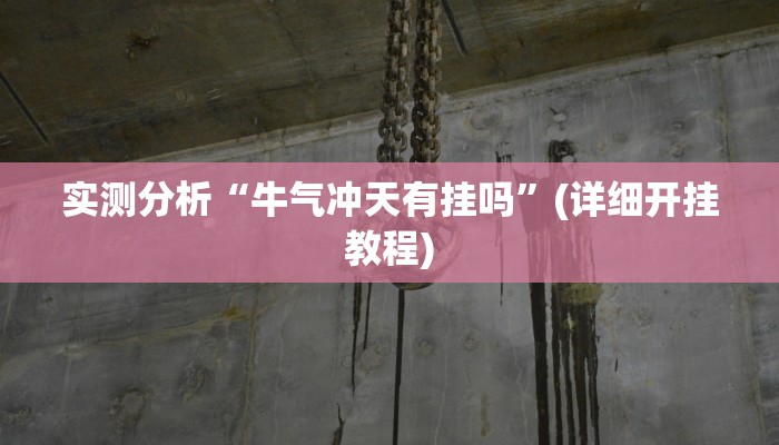 实测分析“牛气冲天有挂吗”(详细开挂教程)