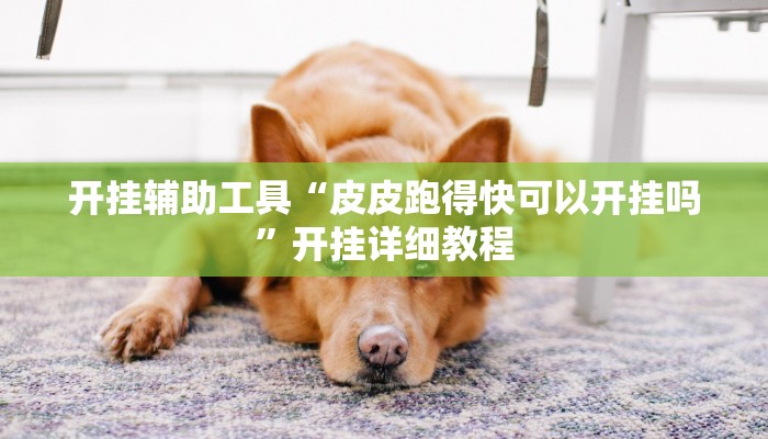 开挂辅助工具“皮皮跑得快可以开挂吗”开挂详细教程