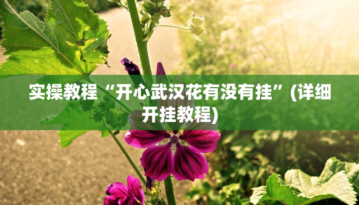 玩家必搜“财神十三张透视开挂”其实确实有挂