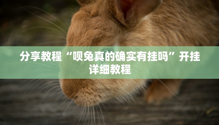 分享教程“呗兔真的确实有挂吗”开挂详细教程