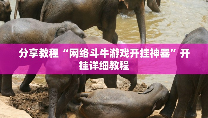 分享教程“小程序边锋干瞪眼确实真的有挂”开挂详细教程