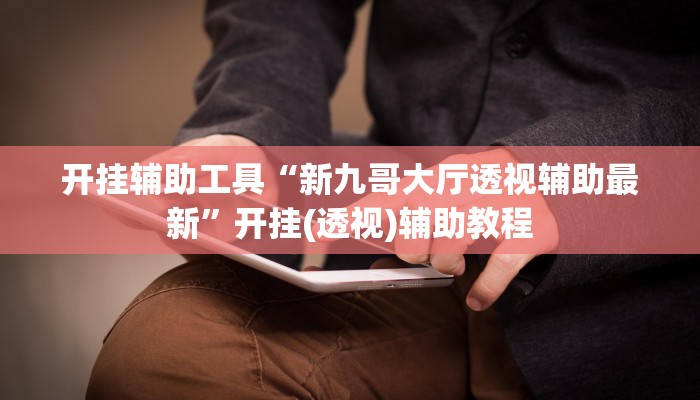 辅助神器“wepoker透视脚本”其实确实有挂