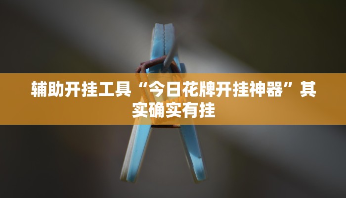 重磅消息“赫麒众游杰克辅助”其实确实有挂 