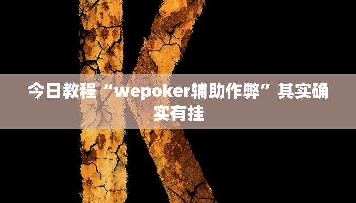 今日教程“wepoker辅助作弊”其实确实有挂