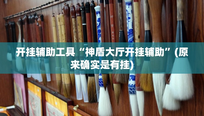 开挂辅助工具“神盾大厅开挂辅助”(原来确实是有挂)