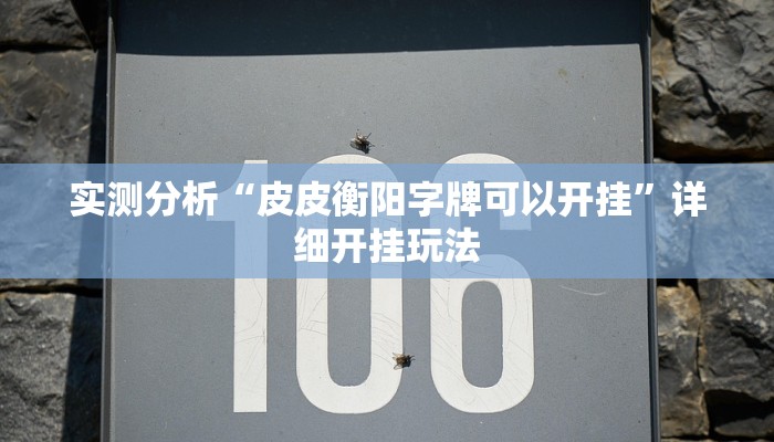 辅助神器“微乐陕西麻将万能挂”其实确实有挂