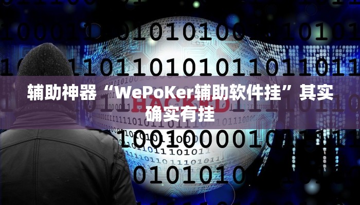 辅助神器“WePoKer辅助软件挂”其实确实有挂