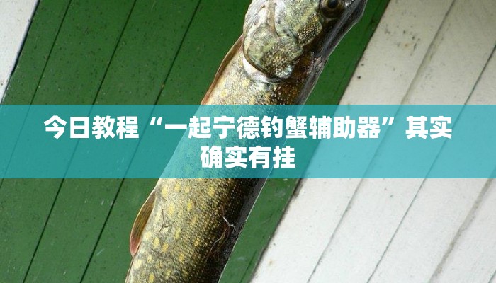 玩家必看教程“微乐窝龙开挂下载安装”开挂(透视)辅助教程