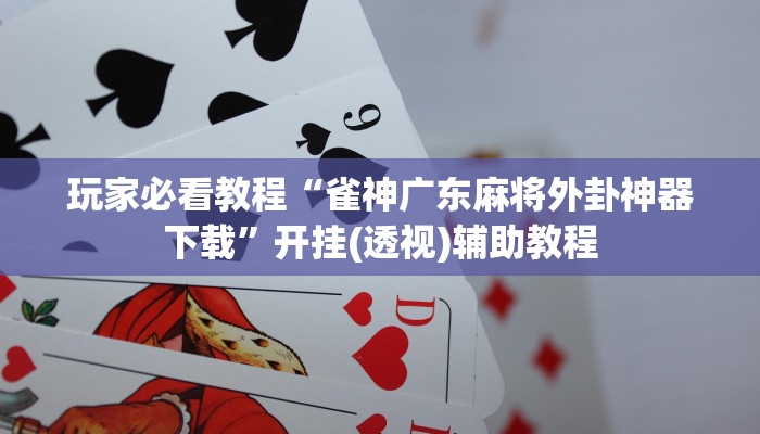 开挂辅助工具“长虹大厅透视辅助”开挂(透视)辅助教程