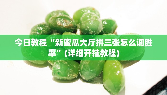 玩家必看教程“福州十八扑下载安装方法”(原来确实是有挂)