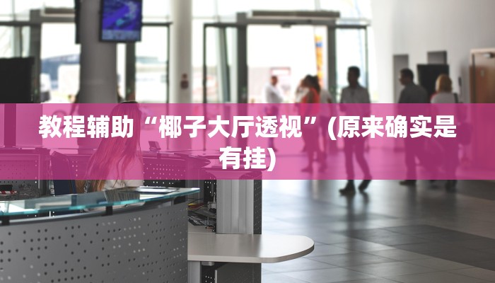 教程辅助“椰子大厅透视”(原来确实是有挂)