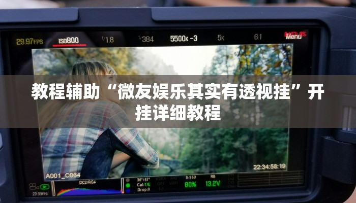 教程辅助“微友娱乐其实有透视挂”开挂详细教程