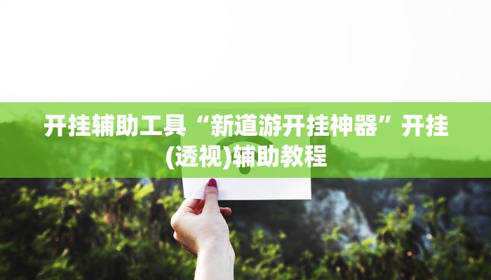 开挂辅助工具“新道游开挂神器”开挂(透视)辅助教程