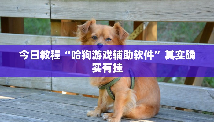 今日教程“哈狗游戏辅助软件”其实确实有挂