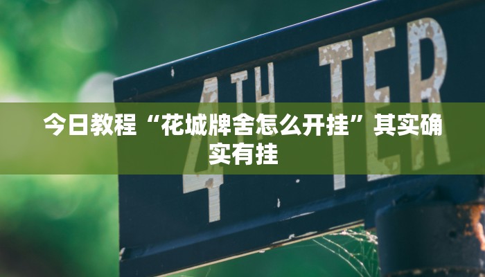 今日教程“花城牌舍怎么开挂”其实确实有挂