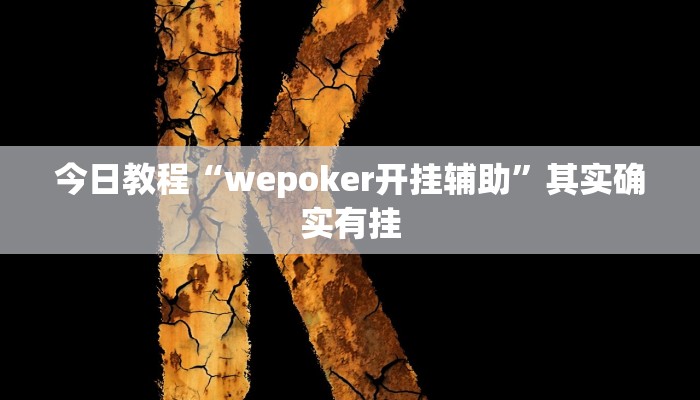 今日教程“wepoker开挂辅助”其实确实有挂