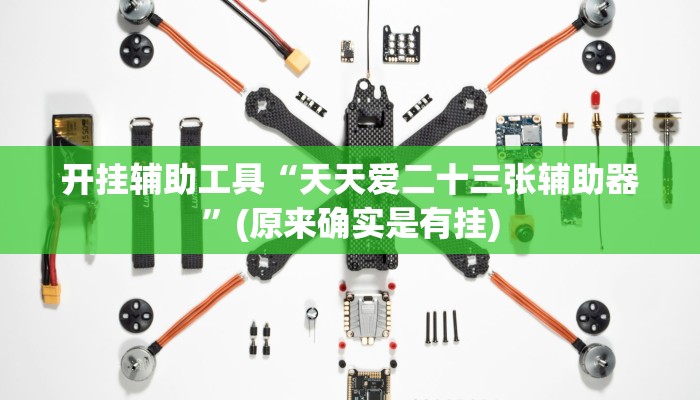 开挂辅助工具“天天爱二十三张辅助器”(原来确实是有挂)