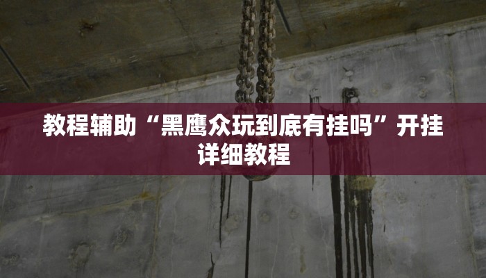 教程辅助“黑鹰众玩到底有挂吗”开挂详细教程