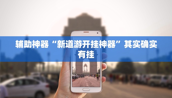 辅助神器“新道游开挂神器”其实确实有挂