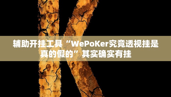 辅助开挂工具“WePoKer究竟透视挂是真的假的”其实确实有挂