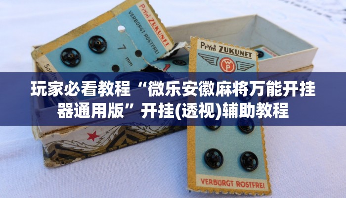 玩家必看教程“微乐安徽麻将万能开挂器通用版”开挂(透视)辅助教程