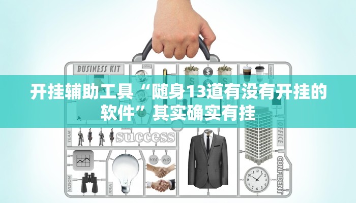 开挂辅助工具“随身13道有没有开挂的软件”其实确实有挂