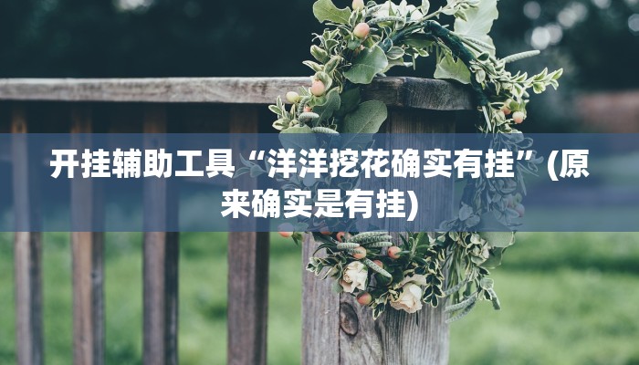 开挂辅助工具“洋洋挖花确实有挂”(原来确实是有挂)