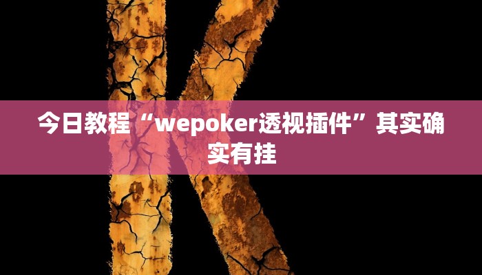 今日教程“wepoker透视插件”其实确实有挂