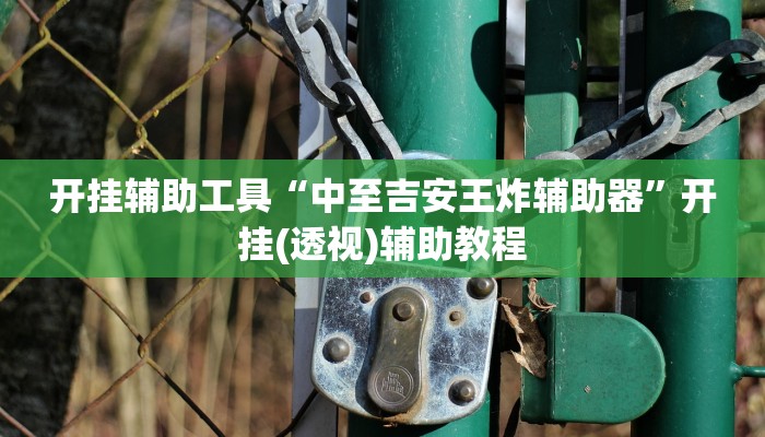 开挂辅助工具“中至吉安王炸辅助器”开挂(透视)辅助教程