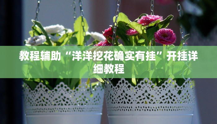 教程辅助“洋洋挖花确实有挂”开挂详细教程