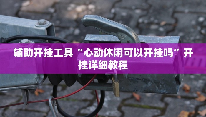 辅助开挂工具“心动休闲可以开挂吗”开挂详细教程