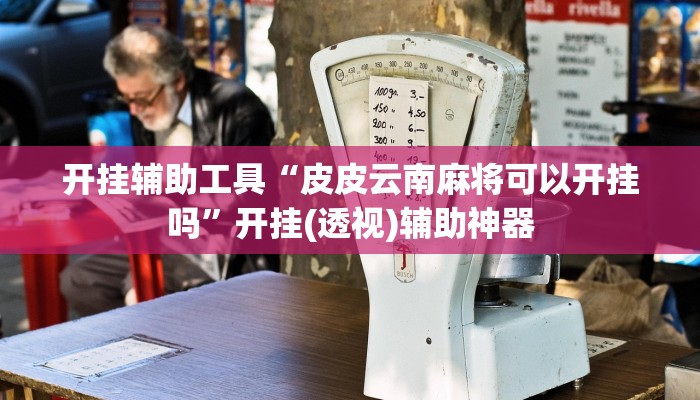 教程辅助“个旧麻将开挂神器下载”开挂(透视)辅助教程