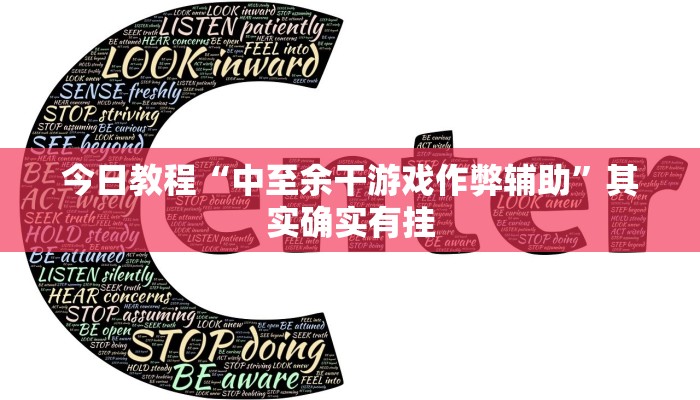 教程辅助“飞驰娱乐作弊透视教程”开挂详细教程