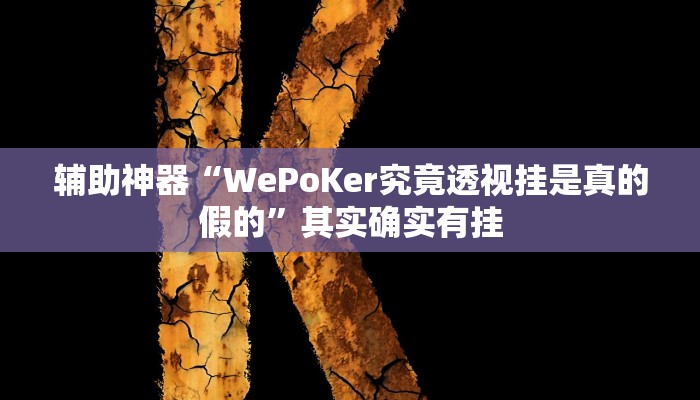 辅助神器“WePoKer究竟透视挂是真的假的”其实确实有挂