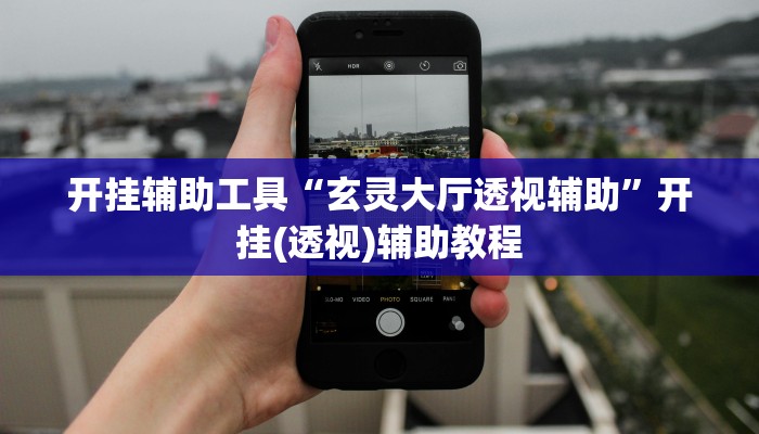 开挂辅助工具“玄灵大厅透视辅助”开挂(透视)辅助教程