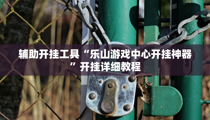 辅助开挂工具“乐山游戏中心开挂神器”开挂详细教程