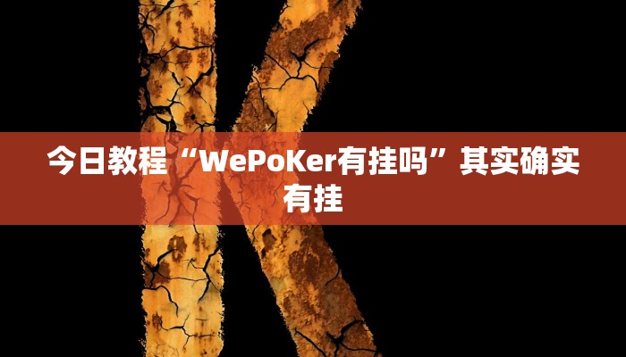 今日教程“WePoKer有挂吗”其实确实有挂