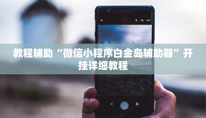 教程辅助“微信小程序白金岛辅助器”开挂详细教程