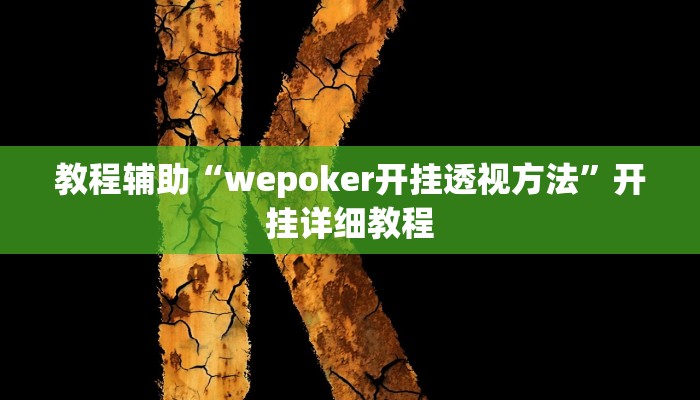 教程辅助“wepoker开挂透视方法”开挂详细教程