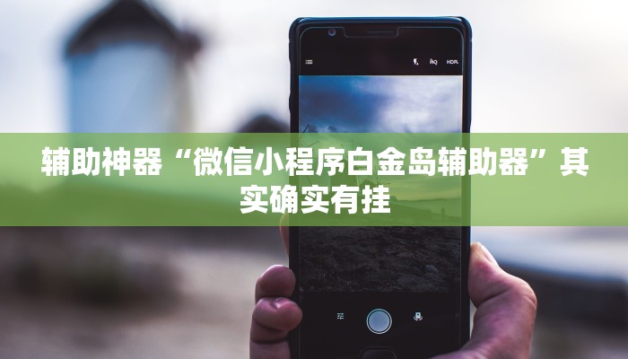 辅助神器“微信小程序白金岛辅助器”其实确实有挂