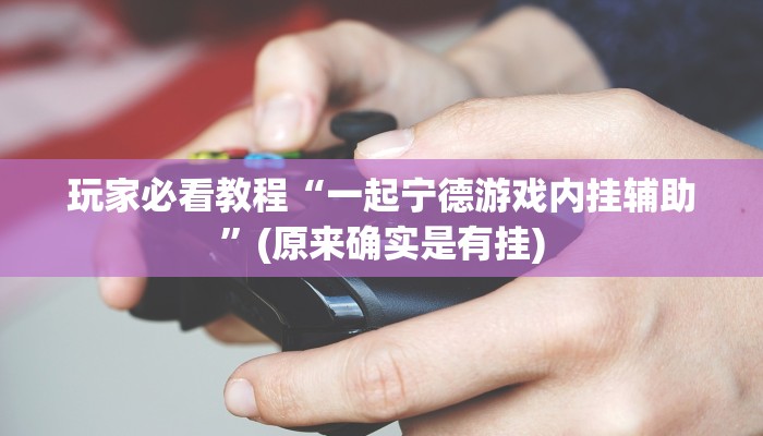 玩家必看教程“一起宁德游戏内挂辅助”(原来确实是有挂)