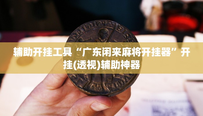 辅助开挂工具“广东闲来麻将开挂器”开挂(透视)辅助神器