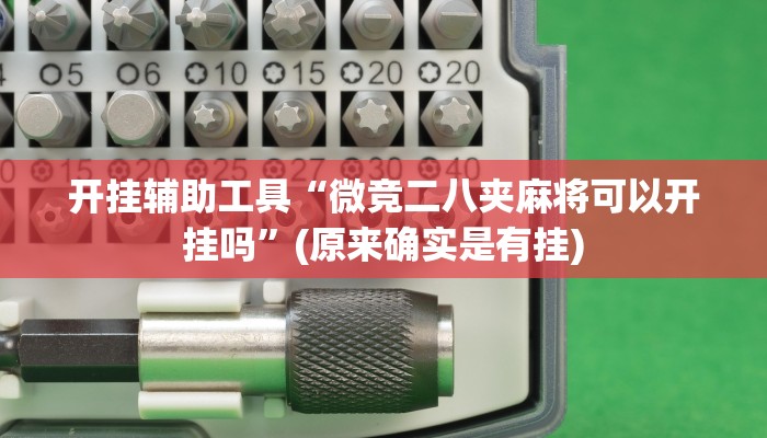 开挂辅助工具“微竞二八夹麻将可以开挂吗”(原来确实是有挂)