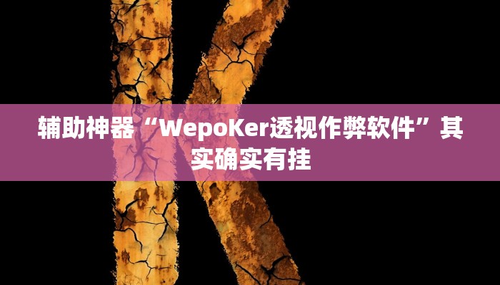 辅助神器“WepoKer透视作弊软件”其实确实有挂
