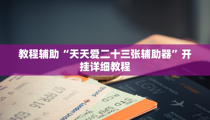 教程辅助“天天爱二十三张辅助器”开挂详细教程