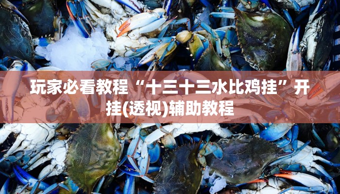 玩家必看教程“十三十三水比鸡挂”开挂(透视)辅助教程