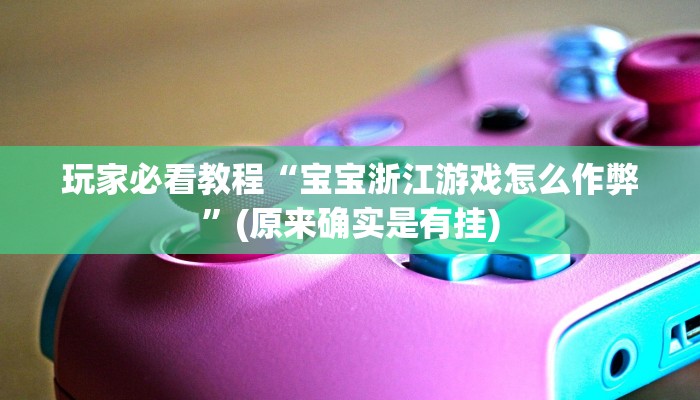 玩家必看教程“宝宝浙江游戏怎么作弊”(原来确实是有挂)